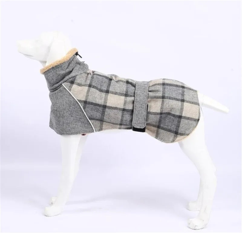 The Stirling Coat