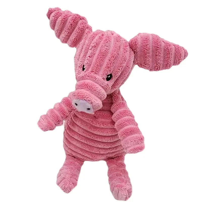 The pig