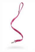 Pink dog leash on a white background