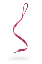 Pink dog leash on a white background