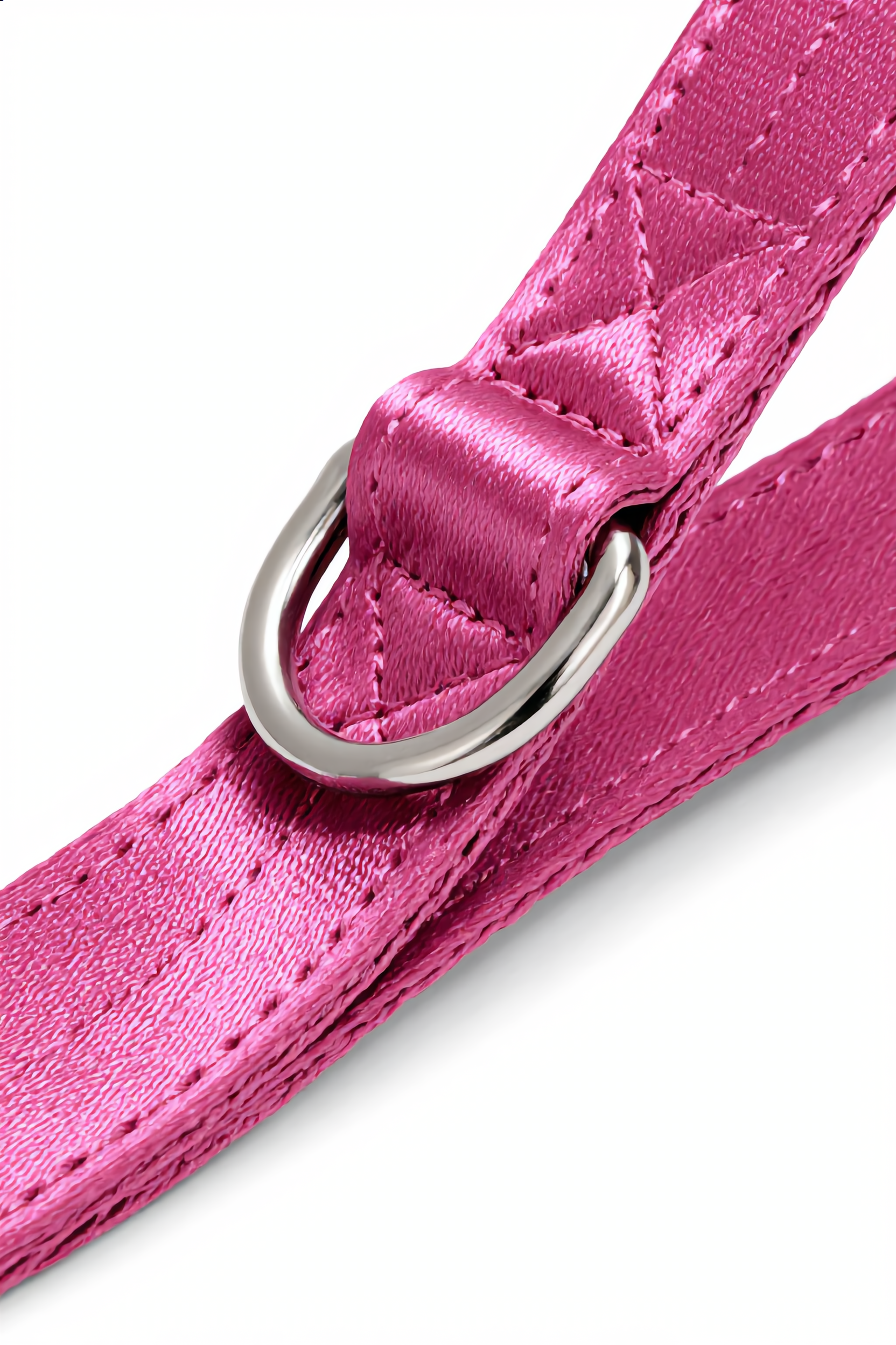 Close-up of a pink dog leash with a silver metal ring on a white background