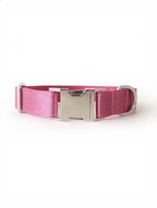 The Fuchsia