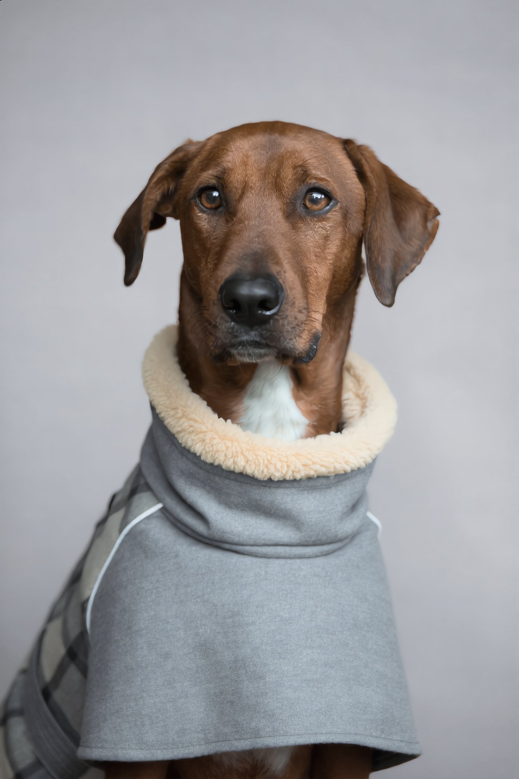 The Stirling Coat