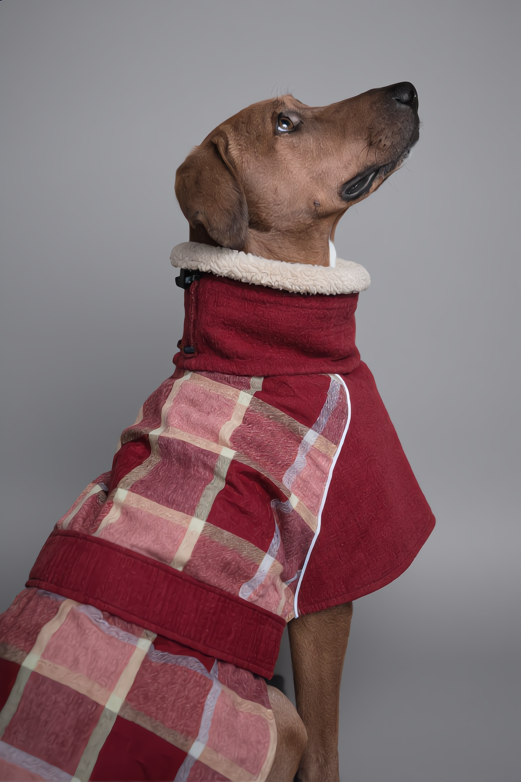 The Cerise Coat