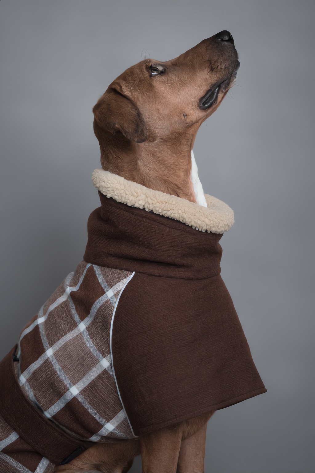 The Balmoral Coat