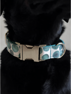 Dog wearing a collar with a blue and green pattern on a gray background