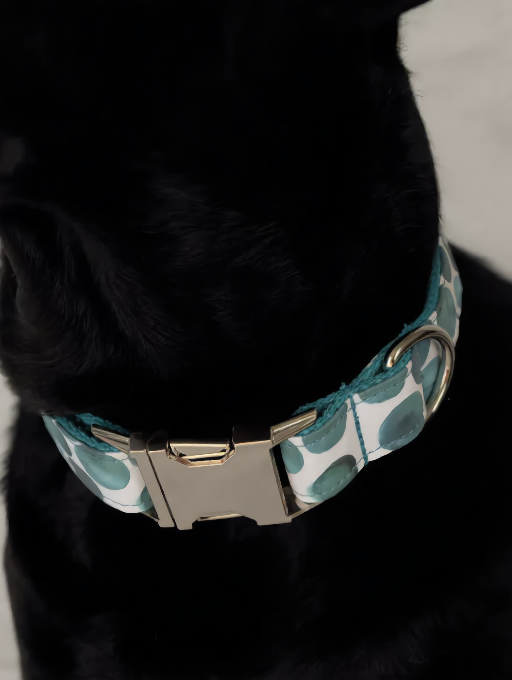 Dog wearing a collar with a patterned design on a black background