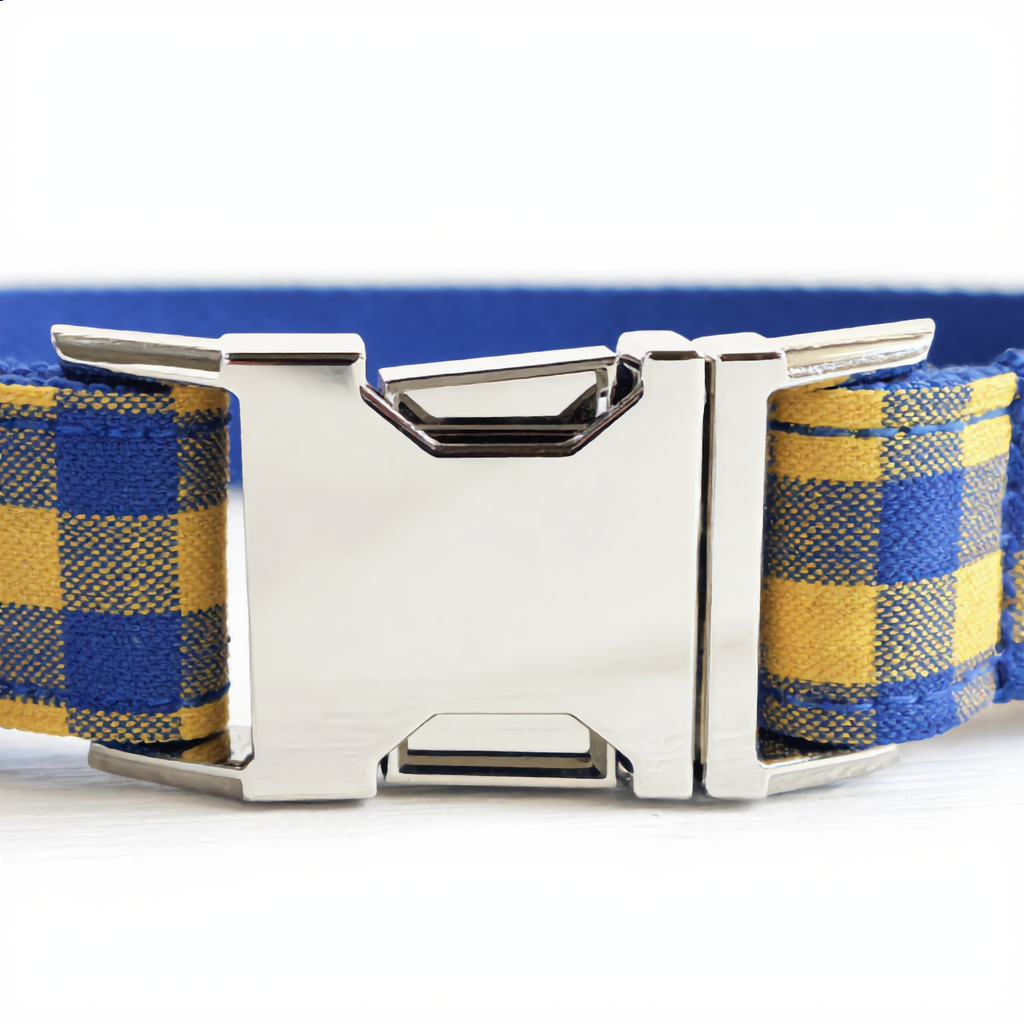 Dog collar with blue and yellow plaid pattern and silver buckle on a white background