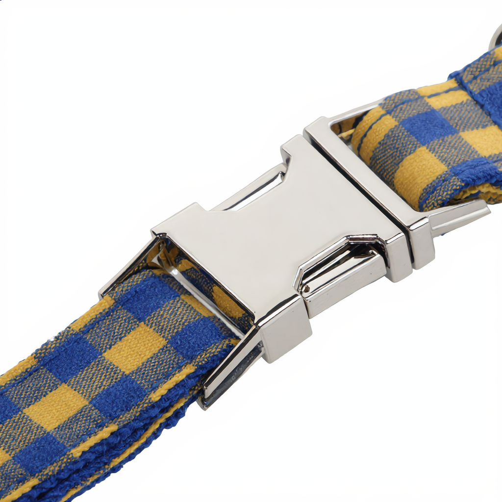 Blue and yellow checkered dog collar with a silver buckle on a white background