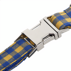Blue and yellow checkered dog collar with a silver buckle on a white background