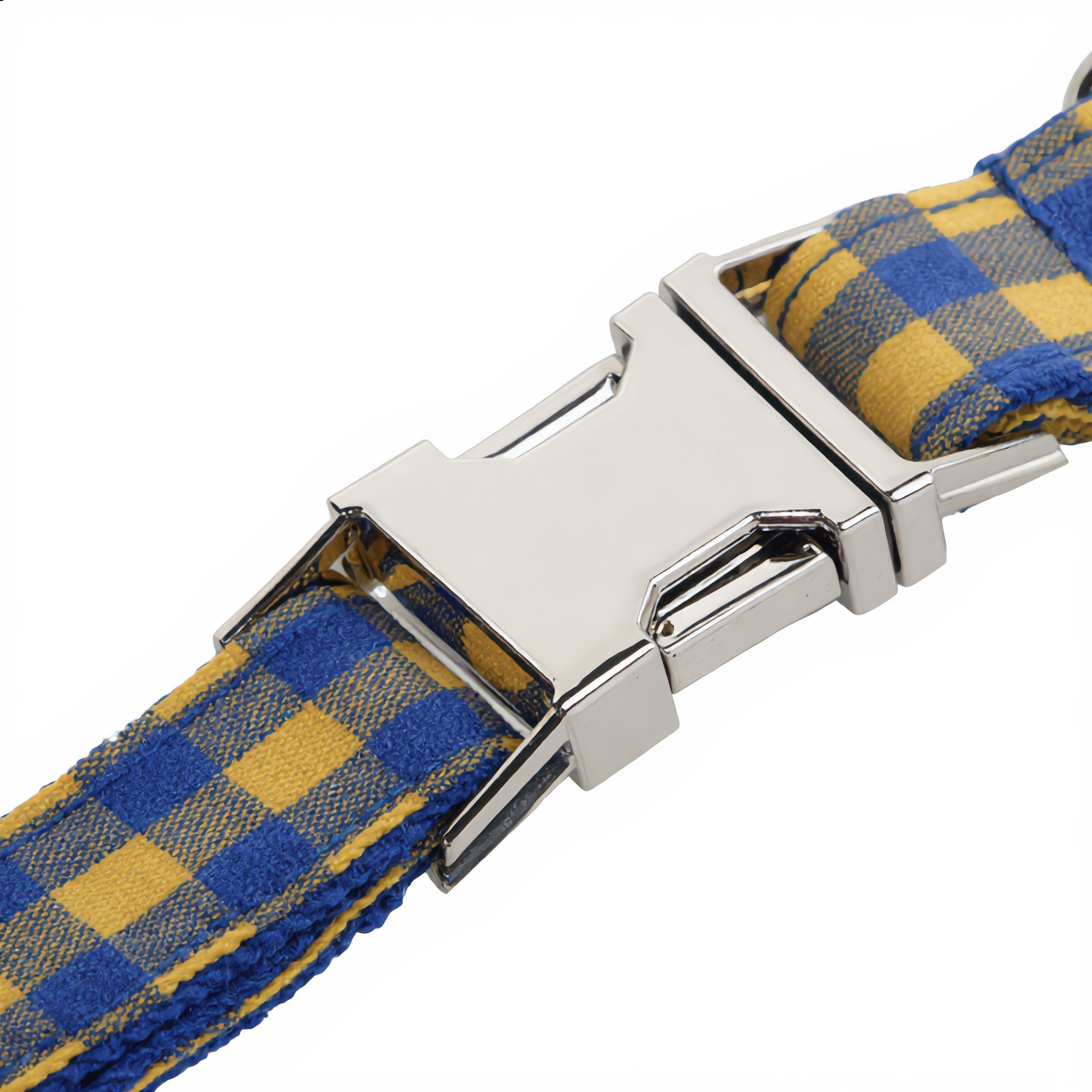 Blue and yellow checkered dog collar with a silver buckle on a white background