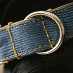Close-up of a blue denim belt with a silver buckle on a dark background
