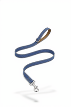 Blue dog leash with metal clip on a white background