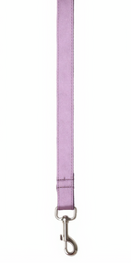 Purple dog leash with a metal clip on a white background