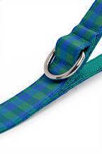 Green and blue checkered dog collar with a silver buckle on a white background