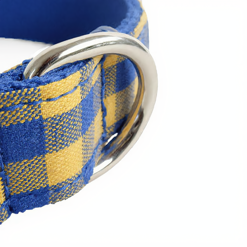 Close-up of a blue and yellow checkered dog collar with a silver buckle on a white background