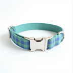 Plaid dog collar with a metal buckle on a white background